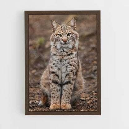ap-bobcat-1 cadre Bois foncé
