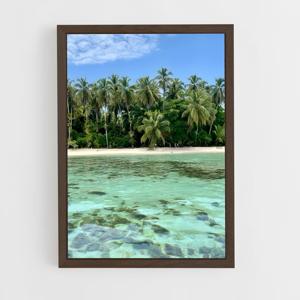 ap-bocas del toro-1 cadre Bois foncé