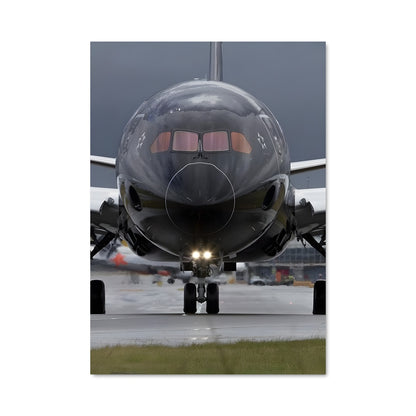Poster Takeoff Majestueux