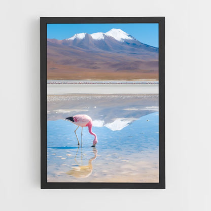 ap-bolivia-12 cadre Noir