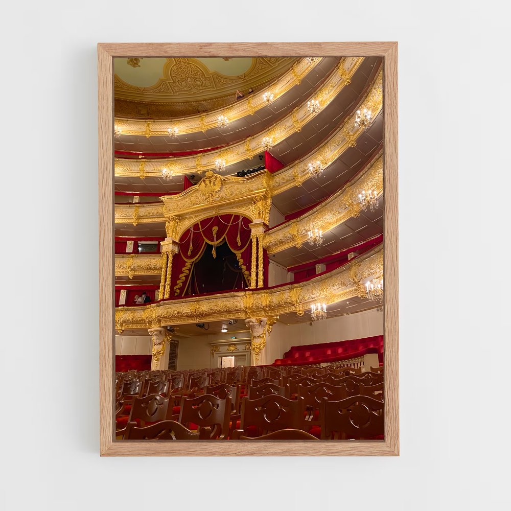 ap-bolshoi ballet moscow-1 cadre Bois clair