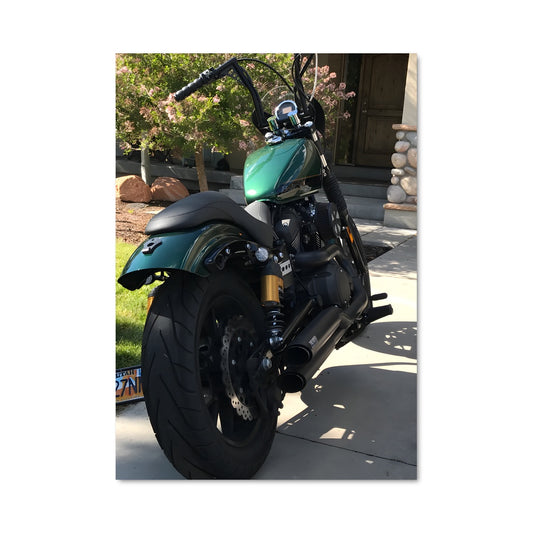 Poster La Moto Verte