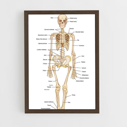 ap-bone-2 cadre Bois foncé