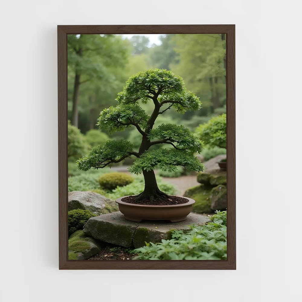 ap-bonsai-2 cadre Bois foncé