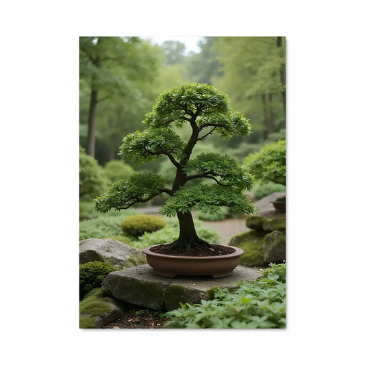 Poster Bonsai Serenity