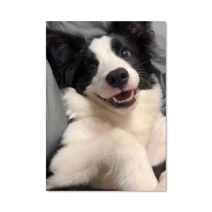 Poster Douceur Canine