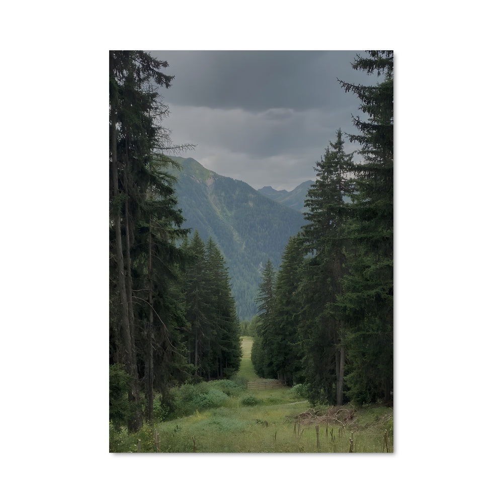 Poster Boreal forest 94948