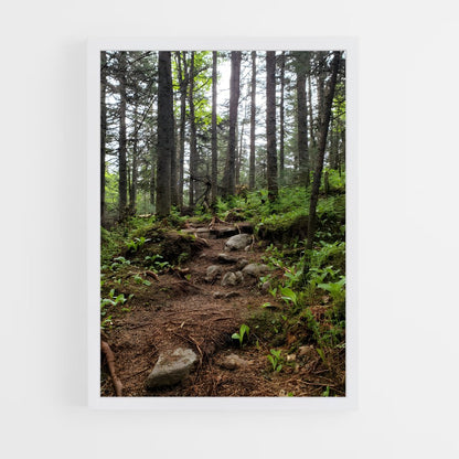 ap-boreal forest-3 cadre Blanc