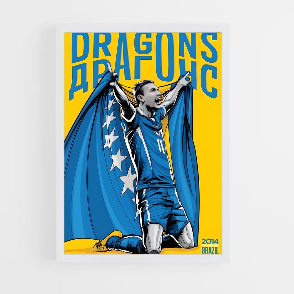 ap-bosnia herzegovina national football team-1 cadre Blanc