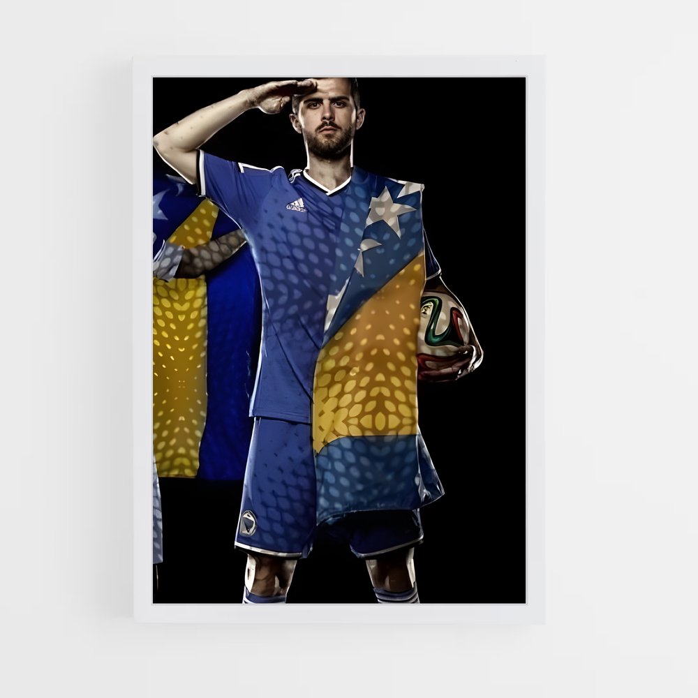 ap-bosnia herzegovina national football team-2 cadre Blanc