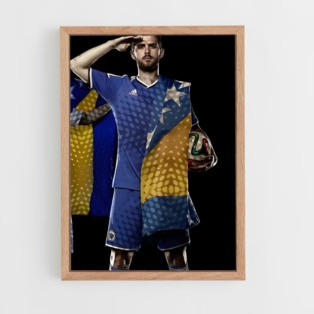 ap-bosnia herzegovina national football team-2 cadre Bois clair