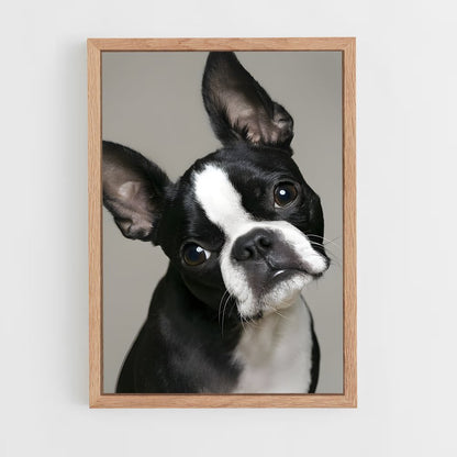 ap-boston terrier-1 cadre Bois clair
