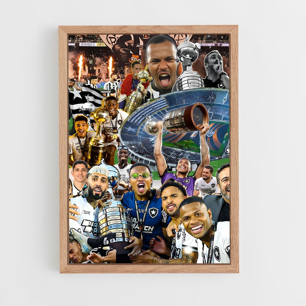 ap-botafogo de futebol e regatas-4 cadre Bois clair