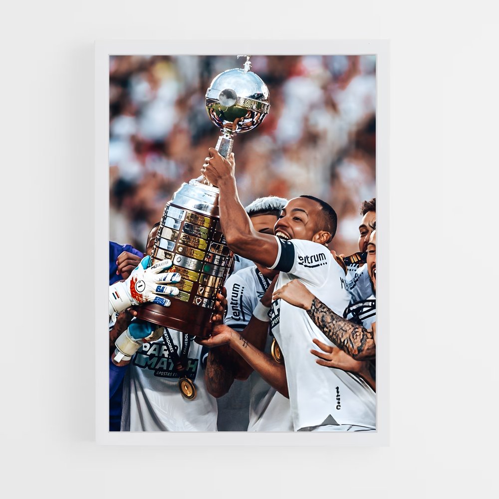 ap-botafogo de futebol e regatas-7 cadre Blanc