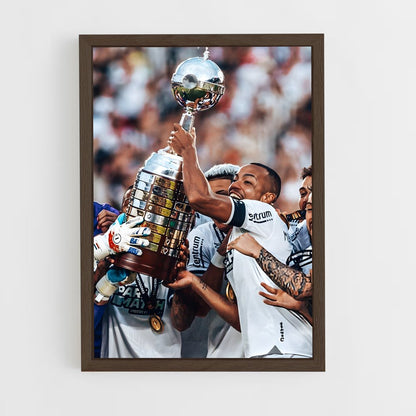 ap-botafogo de futebol e regatas-7 cadre Bois foncé
