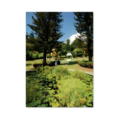 Poster Jardin de Nénuphars
