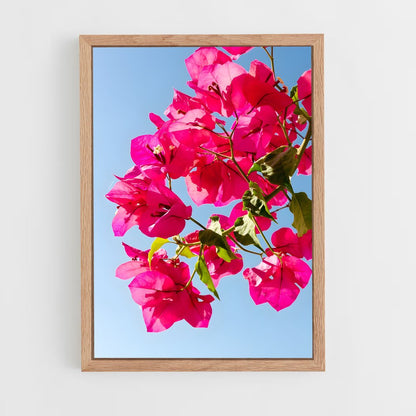 ap-bougainvillea-2 cadre Bois clair