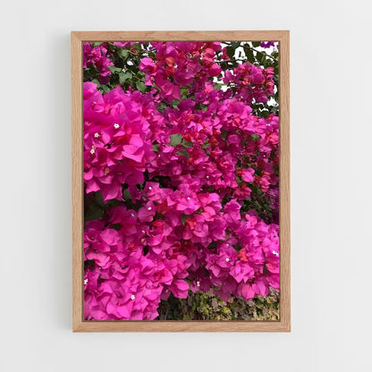 ap-bougainvillea-6 cadre Bois clair