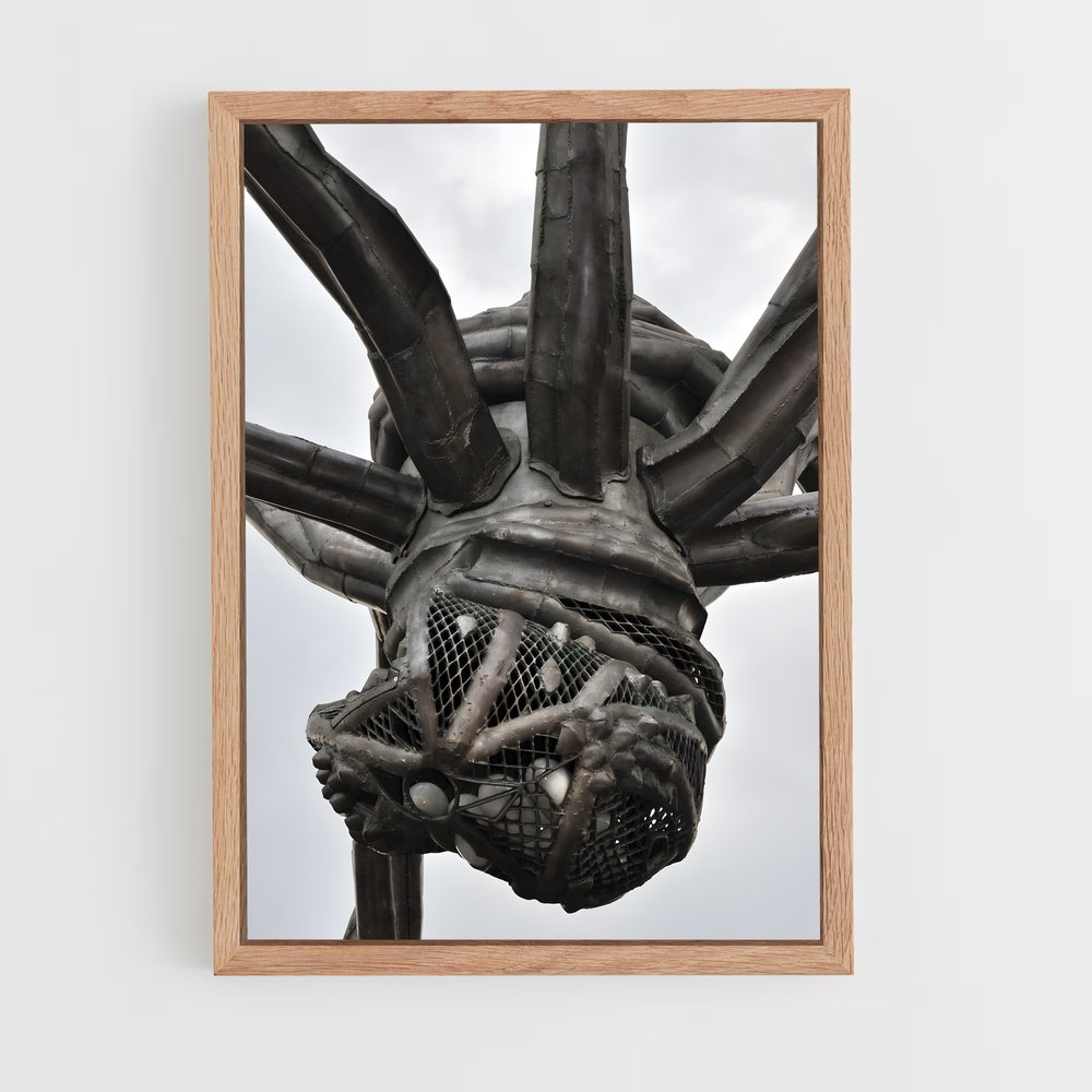 ap-bourgeois spider maman-2 cadre Bois clair