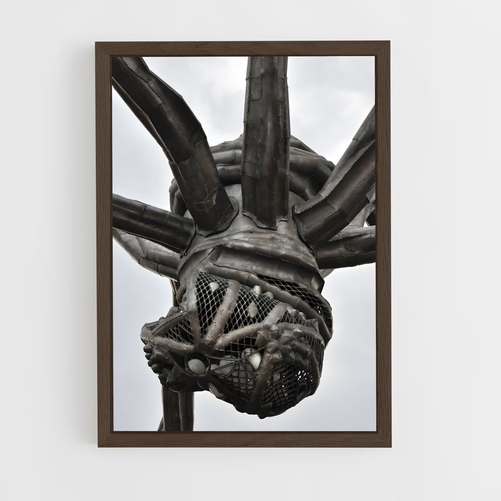 ap-bourgeois spider maman-2 cadre Bois foncé