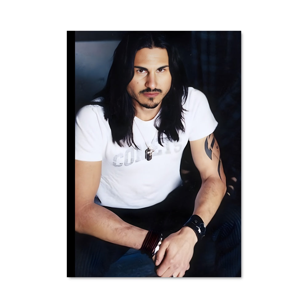 Poster Brad wilk 56364