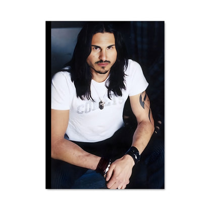 Poster Brad wilk 56364