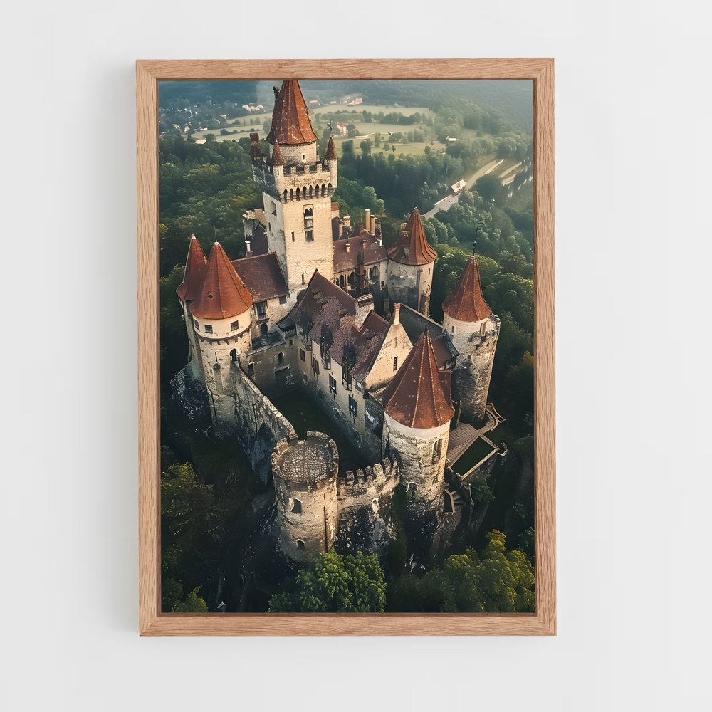 ap-bran castle-2 cadre Bois clair