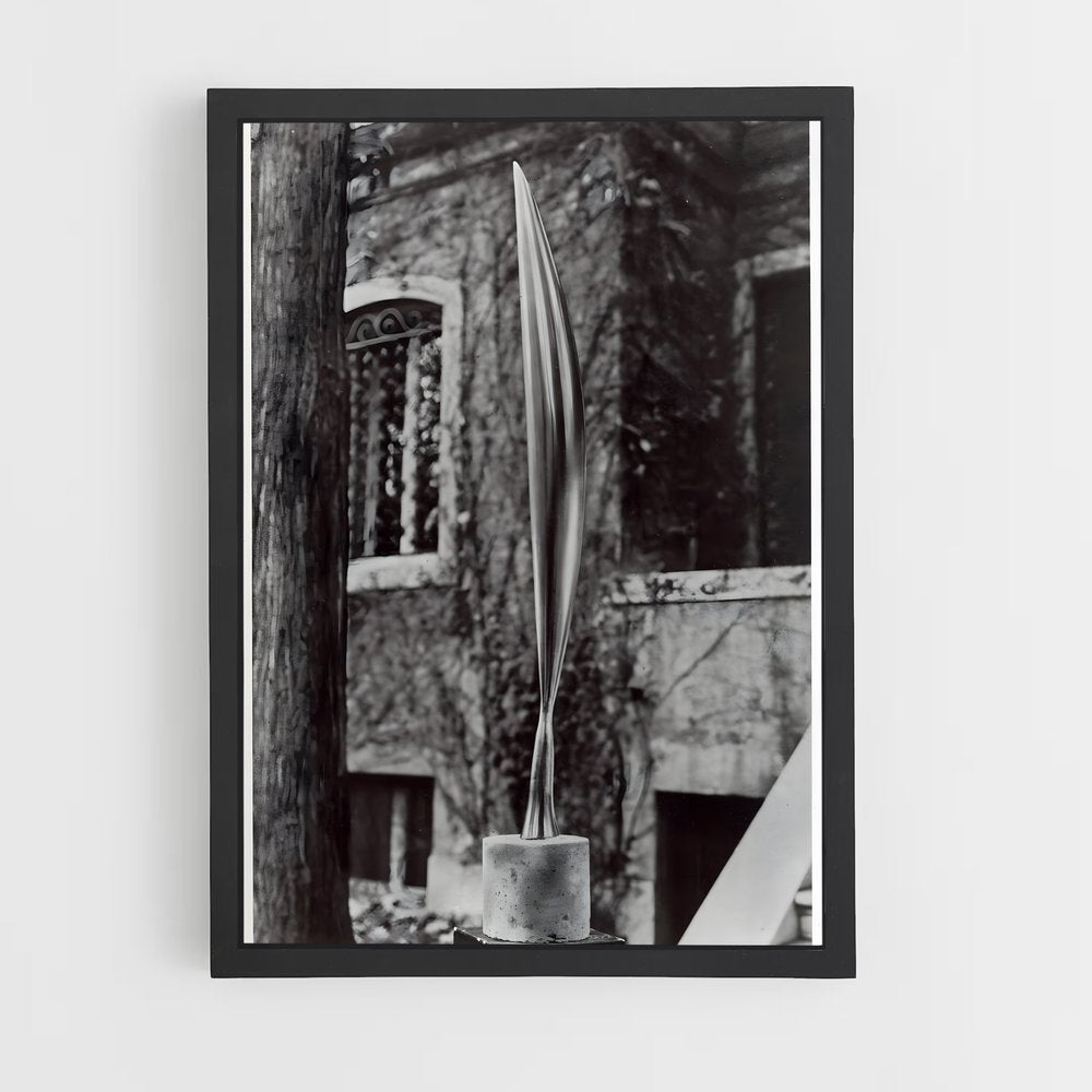 ap-brancusi bird in space-4 cadre Noir