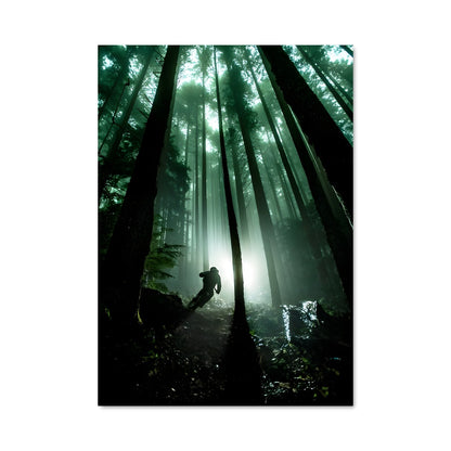 Poster Brandon semenuk 65029
