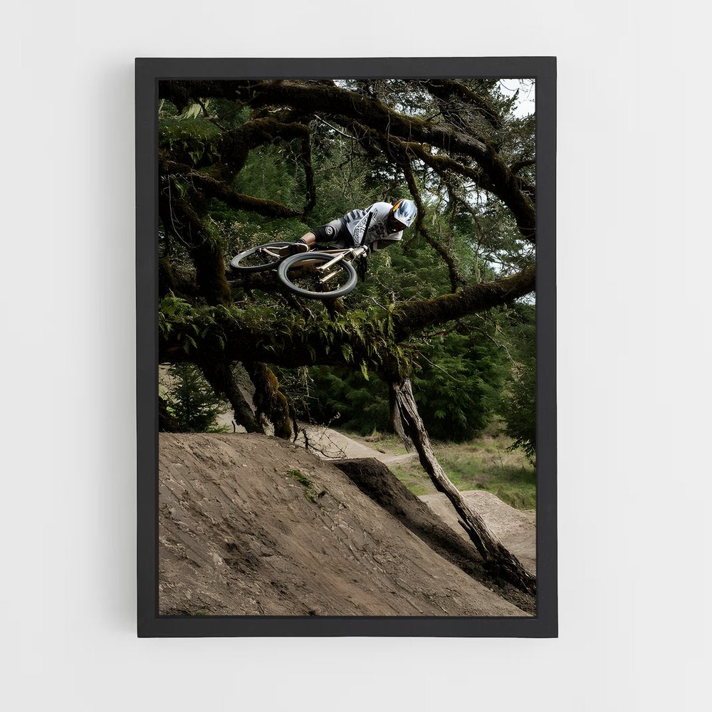 ap-brandon semenuk-8 cadre Noir