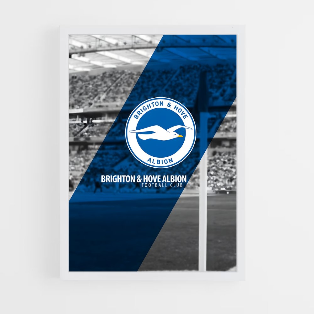 ap-brighton hove albion fc-2 cadre Blanc