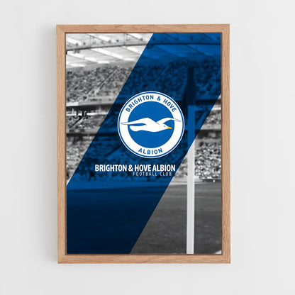ap-brighton hove albion fc-2 cadre Bois clair