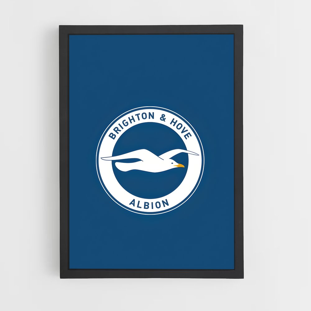 ap-brighton hove albion fc-4 cadre Noir