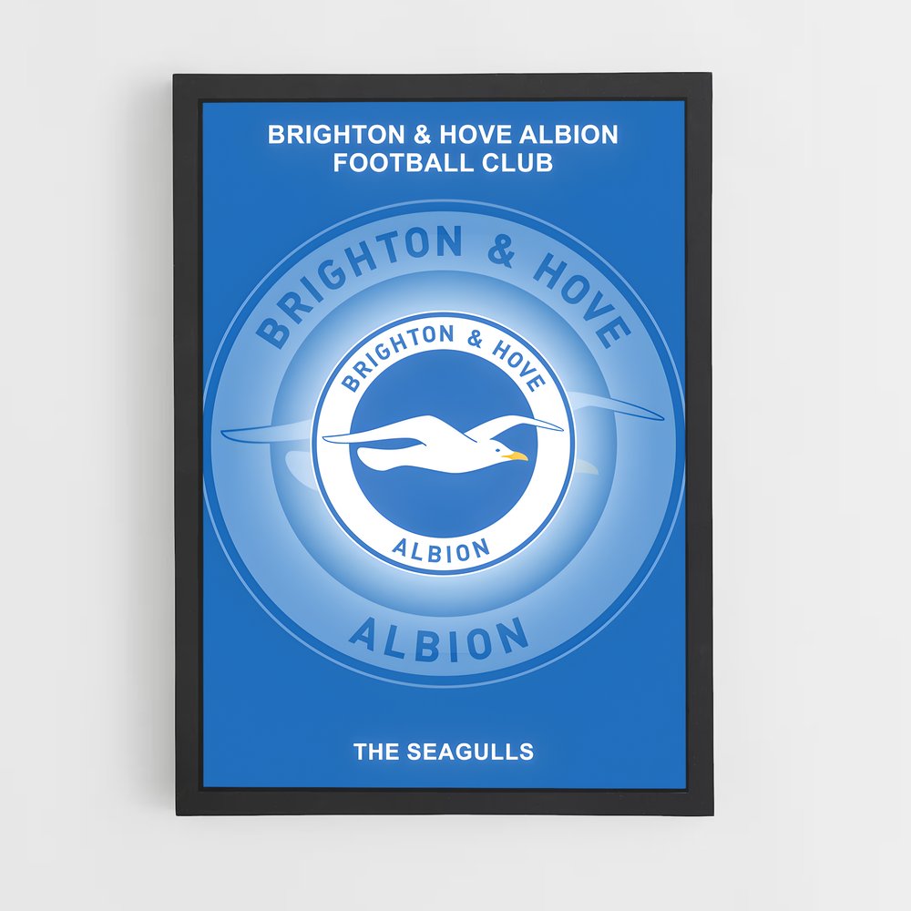 ap-brighton hove albion fc-7 cadre Noir