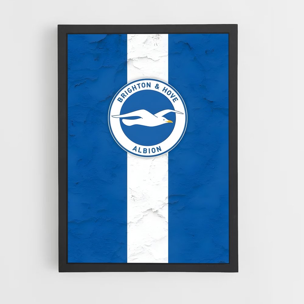ap-brighton hove albion fc-8 cadre Noir