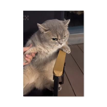 Poster Le Chat Impertinent