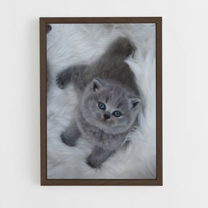 ap-british shorthair-7 cadre Bois foncé