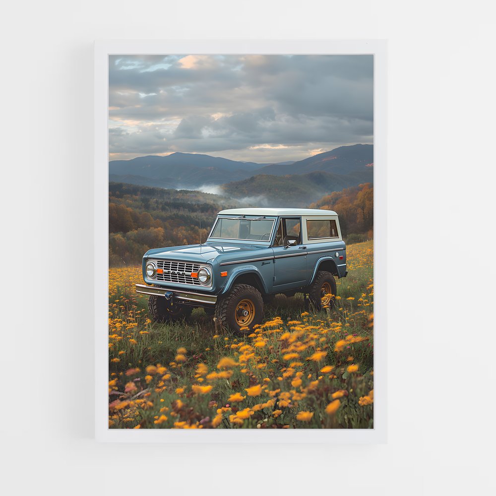ap-bronco-2 cadre Blanc