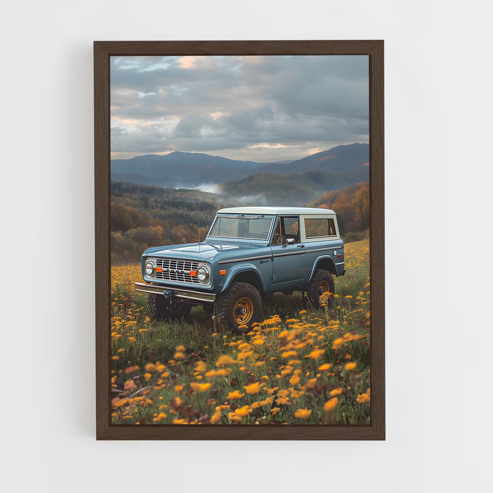 ap-bronco-2 cadre Bois foncé