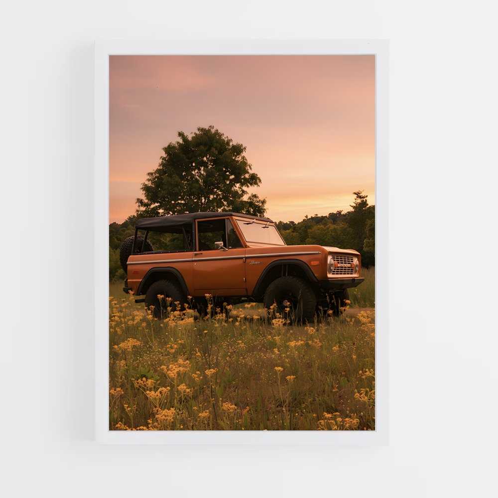 ap-bronco-6 cadre Blanc