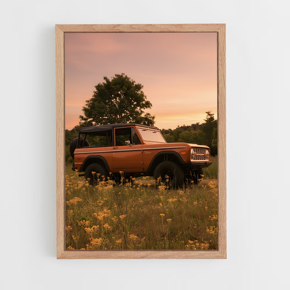 ap-bronco-6 cadre Bois clair