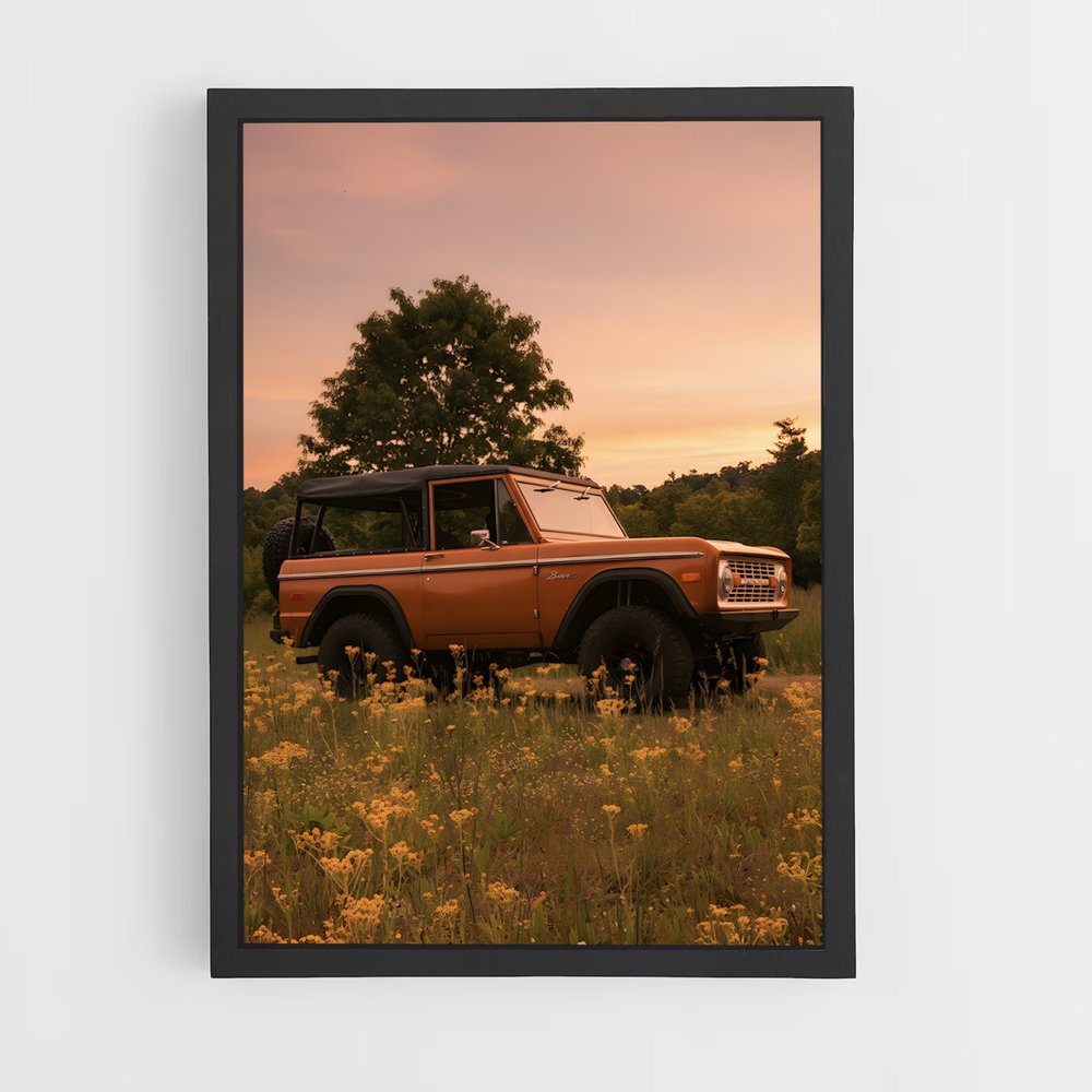 ap-bronco-6 cadre Noir