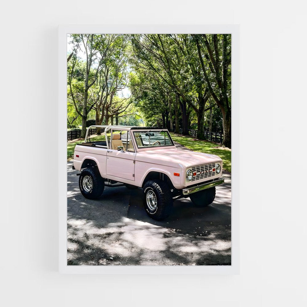 ap-bronco-7 cadre Blanc