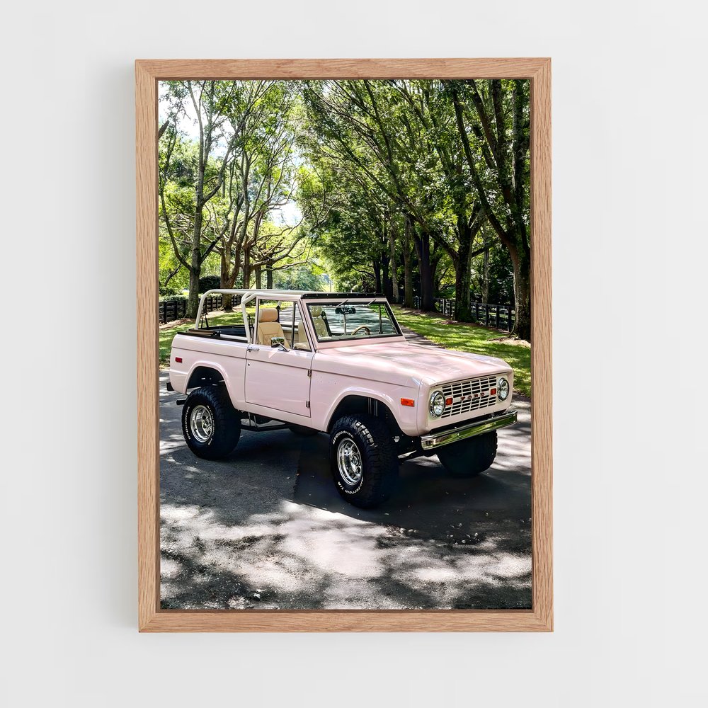 ap-bronco-7 cadre Bois clair