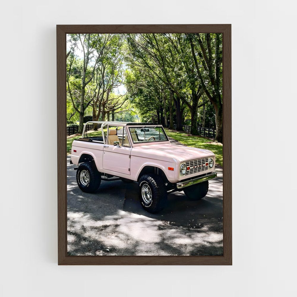 ap-bronco-7 cadre Bois foncé