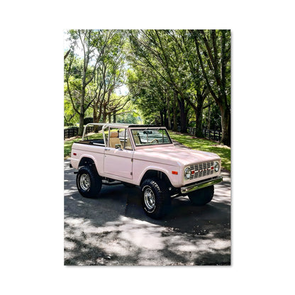 Poster Bronco Rose
