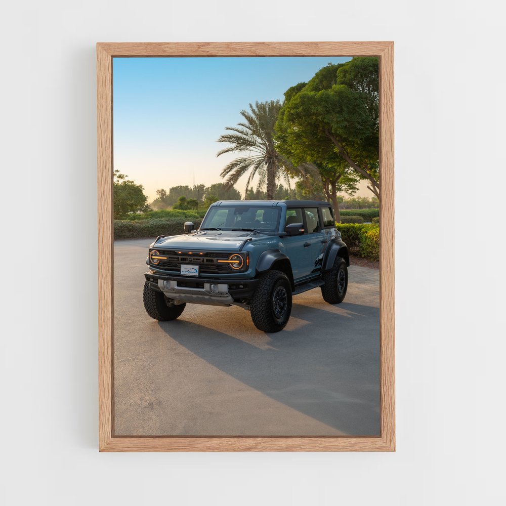 ap-bronco raptor-1 cadre Bois clair