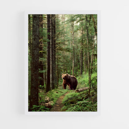ap-brown bear-6 cadre Blanc