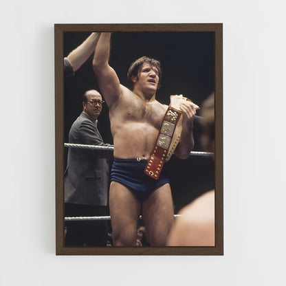 ap-bruno sammartino-1 cadre Bois foncé