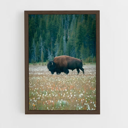 ap-buffalo-14 cadre Bois foncé